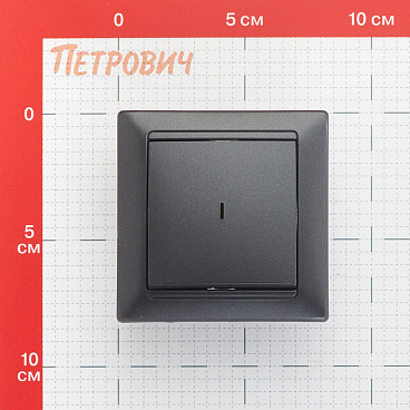 Выключатель Svet Стиль одноклавишный встраиваемый графит с подсветкой (EV 0365-9111)