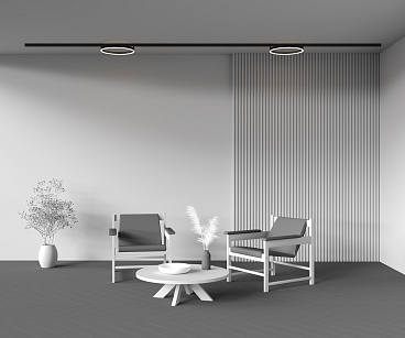 Трековый светильник Technical TR227-2-24W3K-B