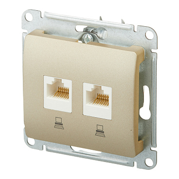Розетка компьютерная Systeme Electric Glossa встраиваемая титан 2хRJ45 (GSL000485KK)